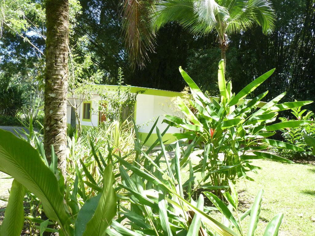 3 Bamboo Eco Lodge Cahuita Exterior photo