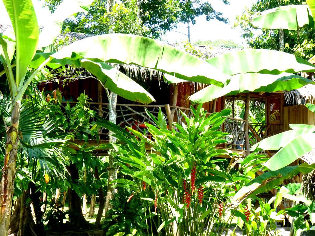 3 Bamboo Eco Lodge Cahuita Exterior photo