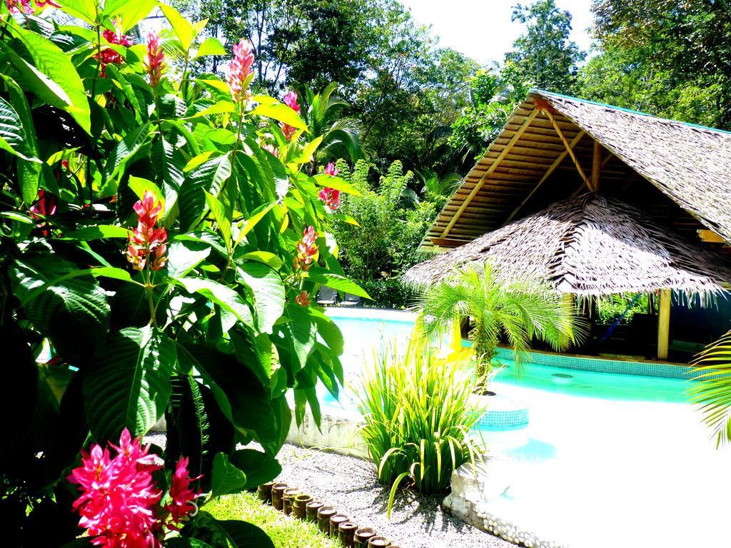 3 Bamboo Eco Lodge Cahuita Exterior photo