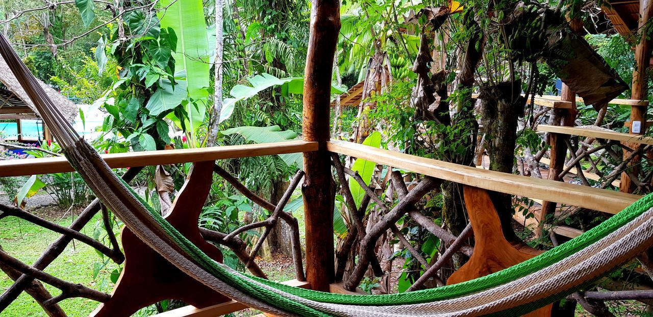 3 Bamboo Eco Lodge Cahuita Exterior photo
