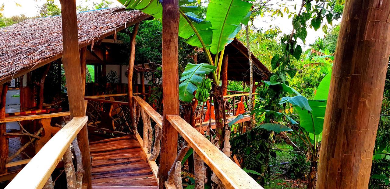3 Bamboo Eco Lodge Cahuita Exterior photo