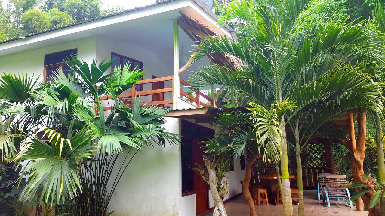 3 Bamboo Eco Lodge Cahuita Exterior photo