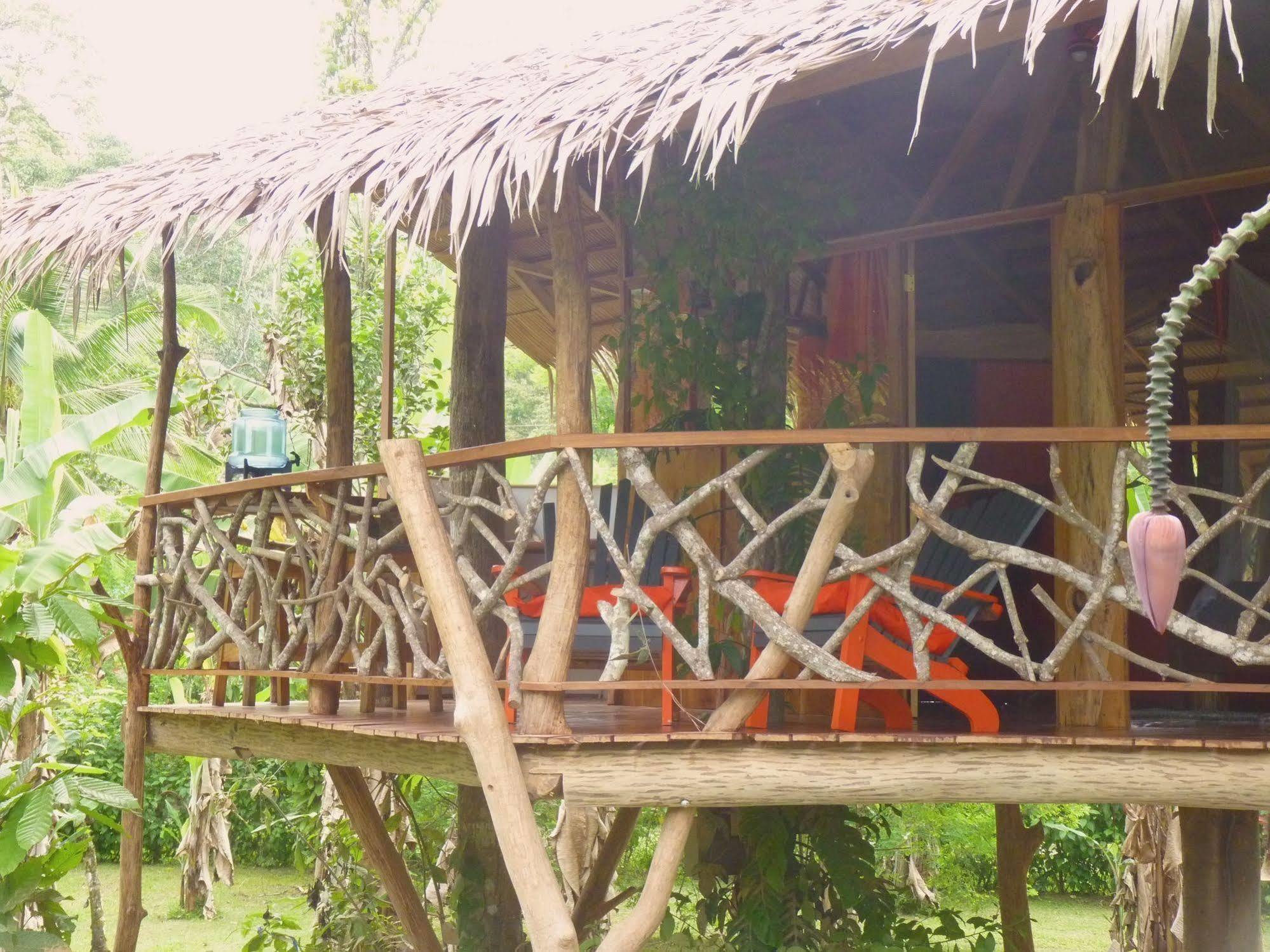 3 Bamboo Eco Lodge Cahuita Exterior photo