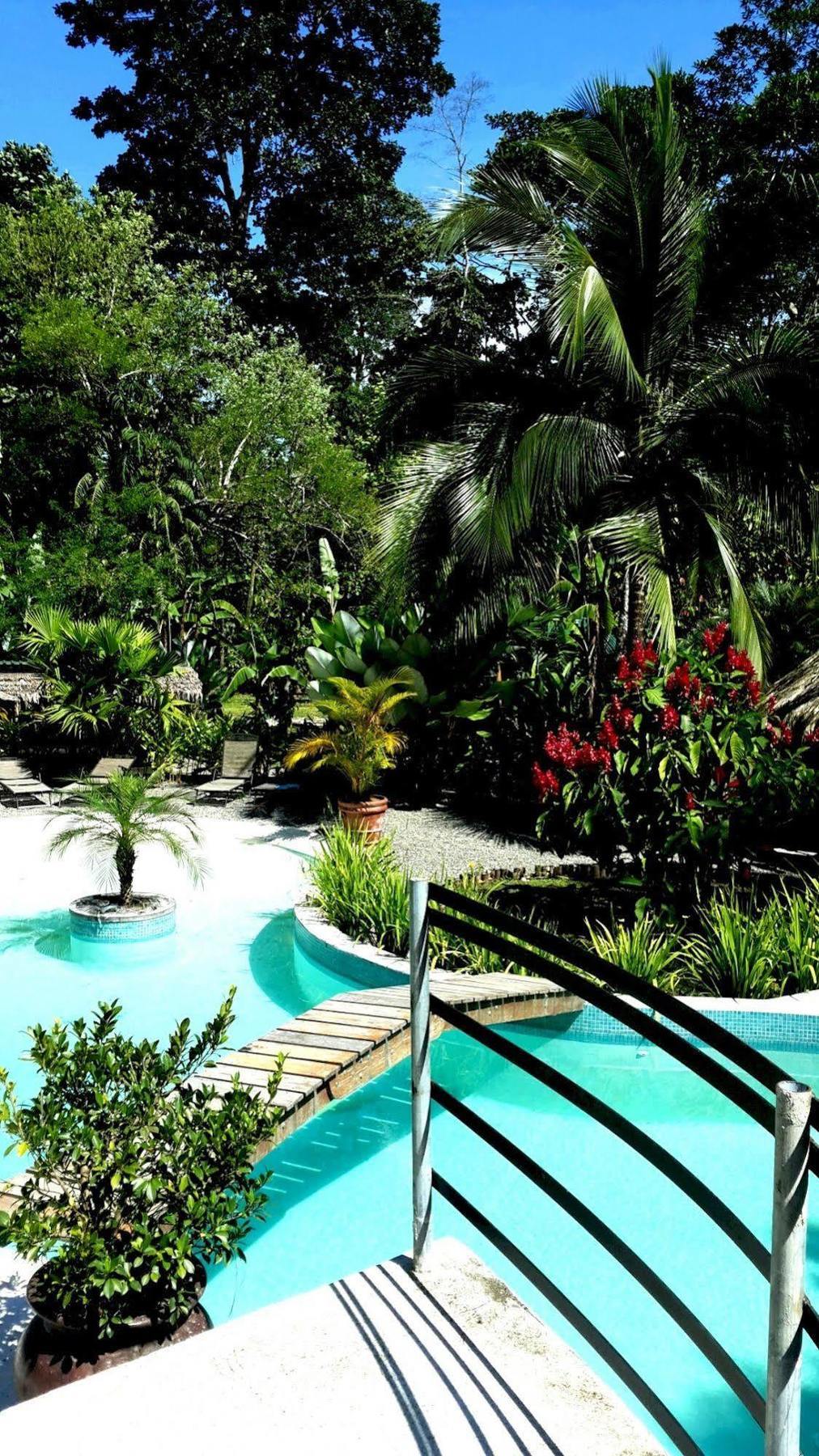 3 Bamboo Eco Lodge Cahuita Exterior photo
