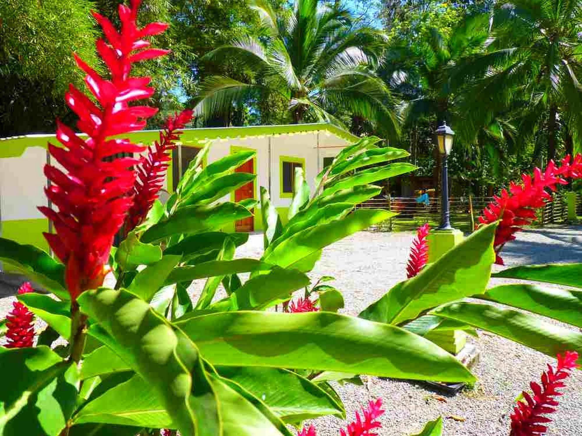 3 Bamboo Eco Lodge Cahuita Exterior photo